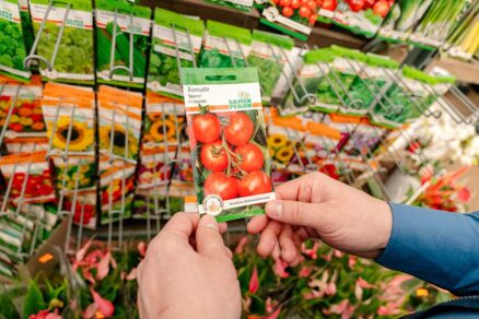 Najčastejšie chyby pri nakupovaní semien do záhrady