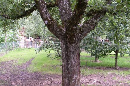 Cieľom rezu je pevná kostra na celý život