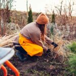 Práce v záhrade vo februári na konci zimy