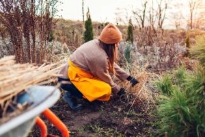 Február je tu! Čo robiť v záhrade na konci zimy, aby sme boli pripravení na sezónu?