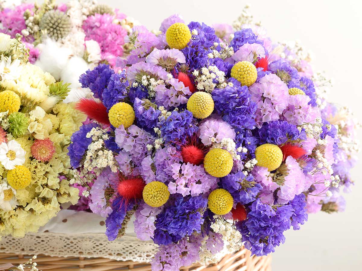 Súkvetia možno využívať pri zostavovaní letných kytíc alebo sušiť. Foto: Shutterstock