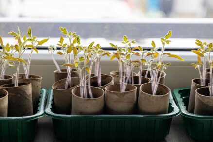 Metóda papierovej veže