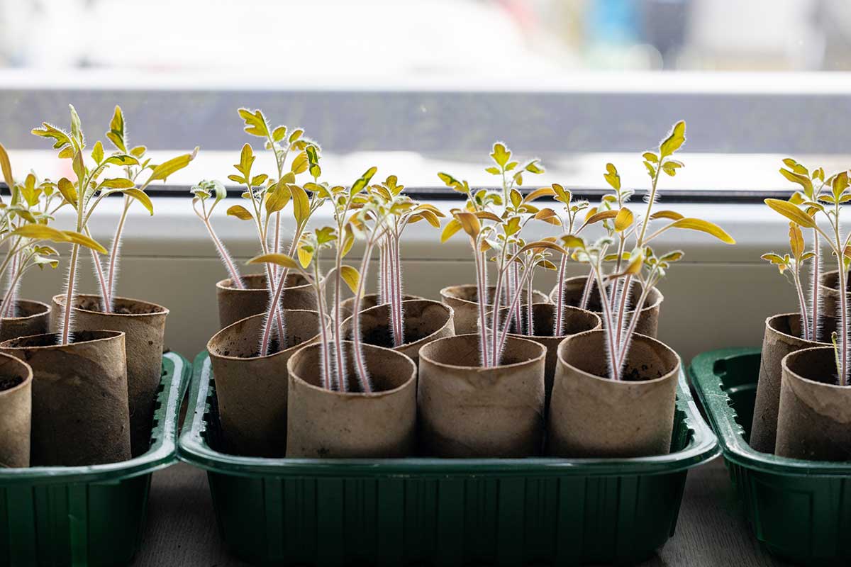 Metóda papierovej veže