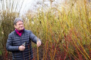 Namnožte si dreviny pomocou drevitých odrezkov a ušetrite. Teraz je na to ideálny čas!