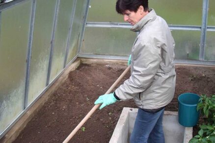 Zapracovanie vápna do pôdy pomocou hrablí
