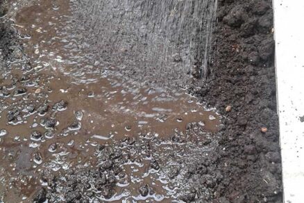 Dôkladné zavlaženie pôdy po aplikácii dusíkatého vápna