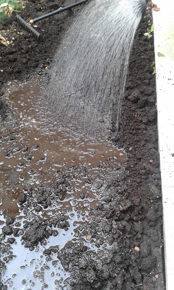 Dôkladné zavlaženie pôdy po aplikácii dusíkatého vápna 