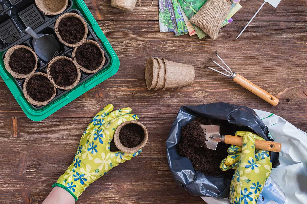 Príprava na vysievanie zeleniny vo februári 