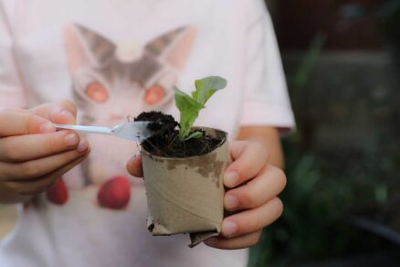 Výsev do rolky od toaletného papiera