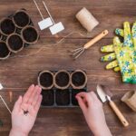 Výsevy zeleniny vo februári