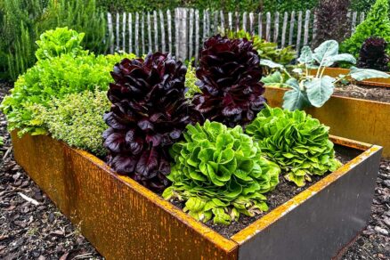 Vyvýšený záhon z cortenu