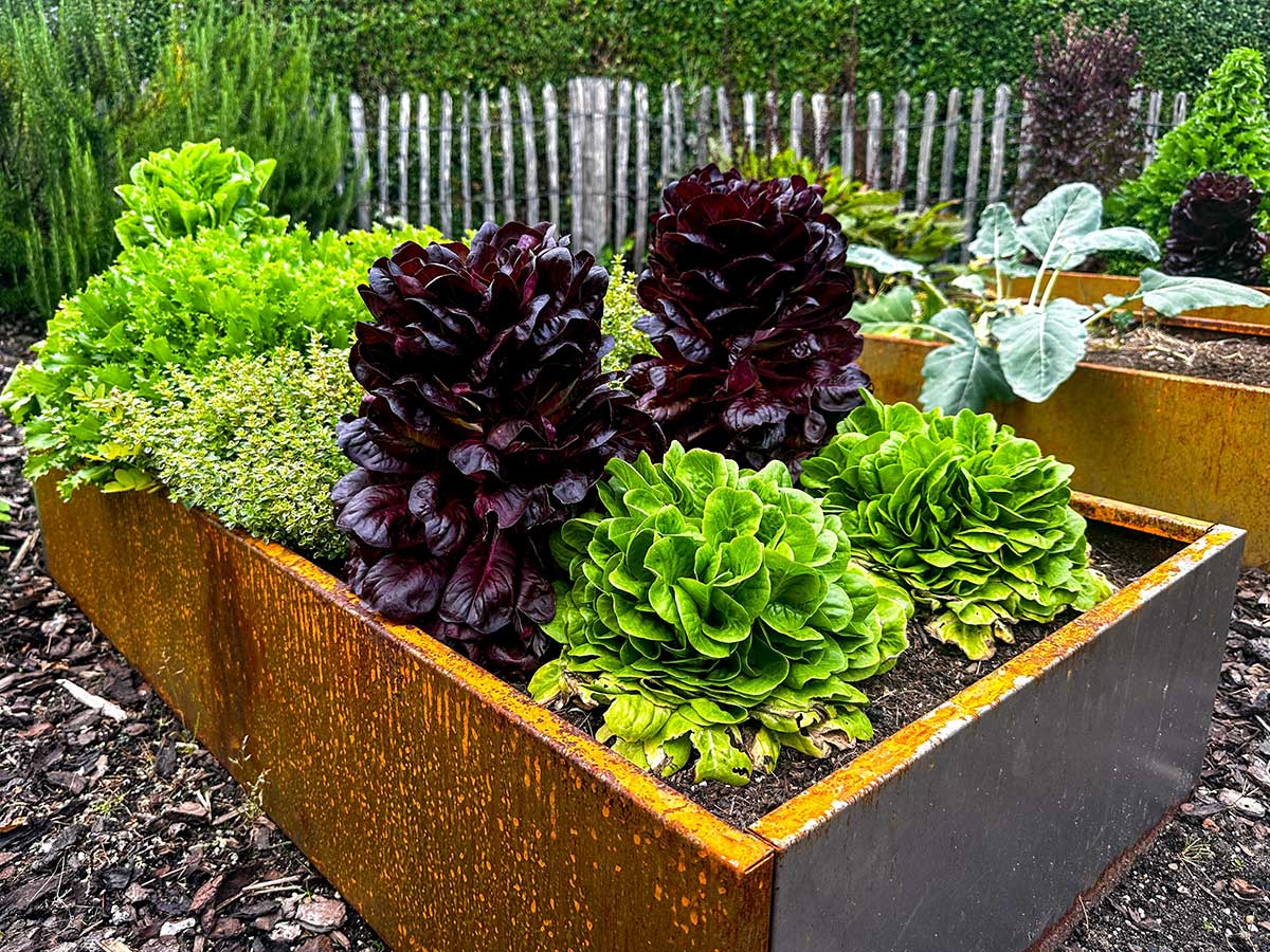 Cortenová oceľ má typický hrdzavý povrch, ktorý chráni kov a vydrží desiatky rokov bez náročnej údržby. Foto: Shutterstock