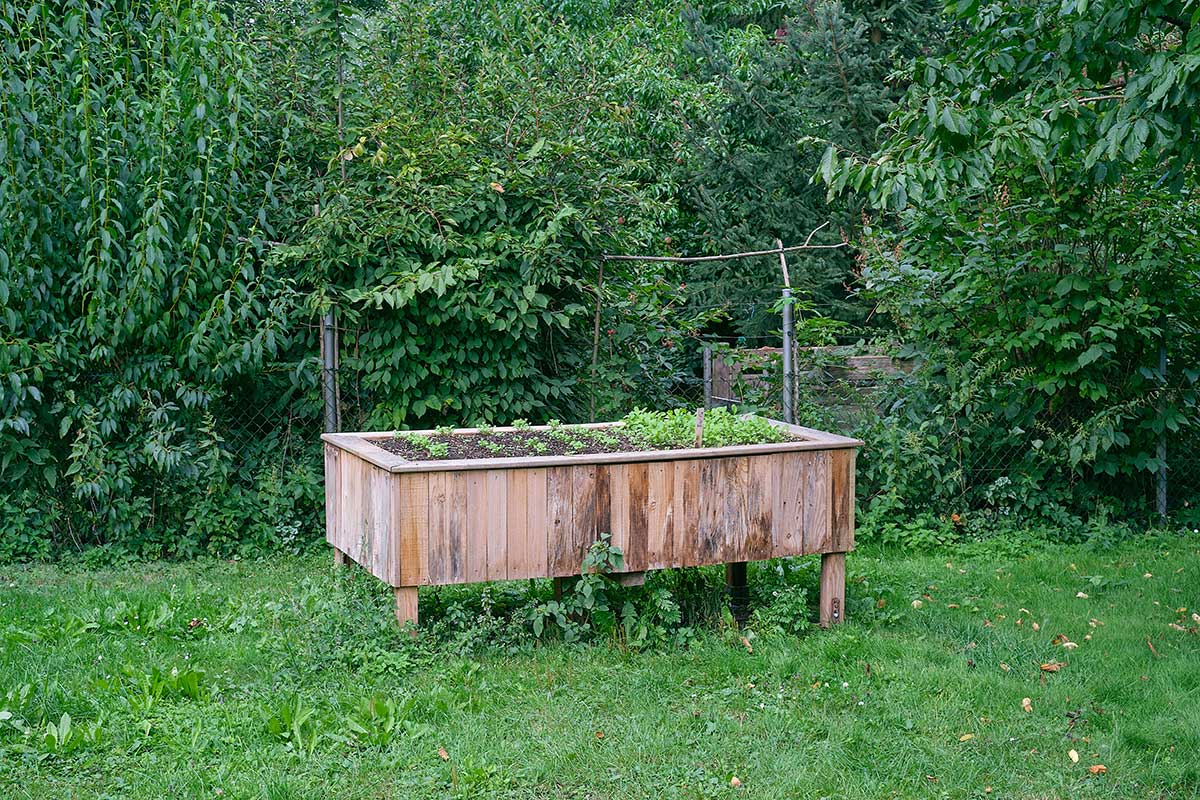 Vyvýšený záhon v záhrade