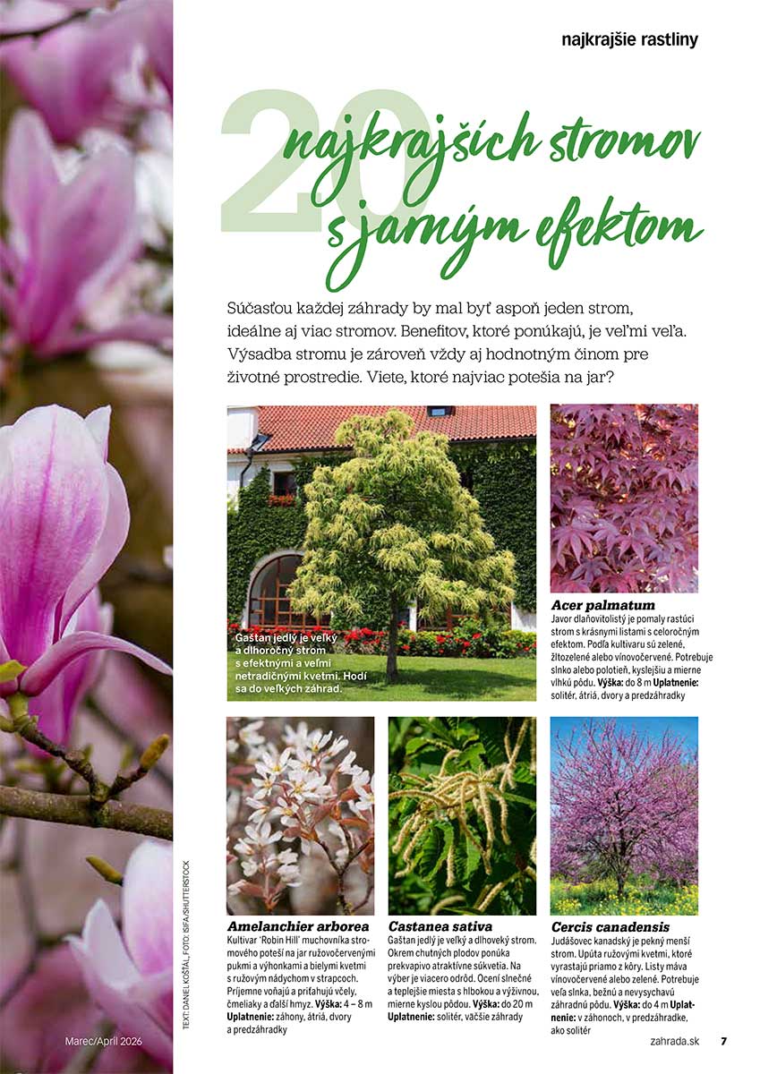 Článok 20 najkrajších stromov s jarným efektom