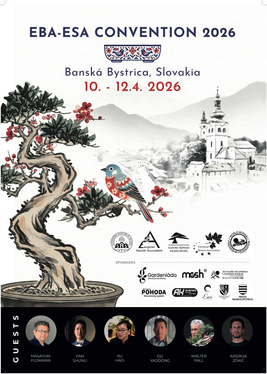 EBA ESA Convetion 2026