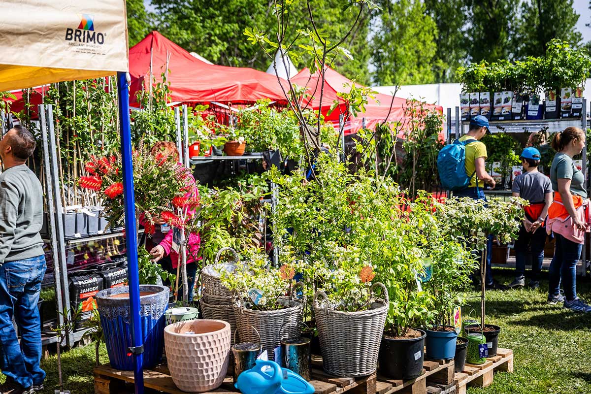 Trh rastlín a potrieb pre záhradu na Festivale záhrad a hobby 2025