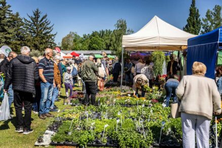 Predajcovia sadeníc, rastlín a potrieb do záhrady na Festivale záhrad a hobby 2025
