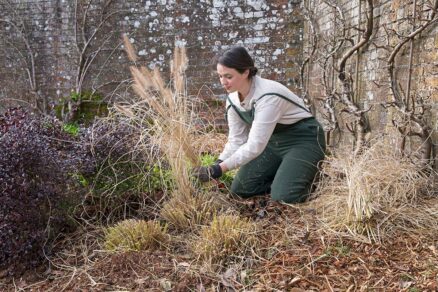 Strihanie suchých okrasných tráv na jar