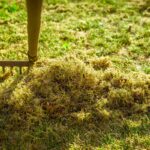 Zbavovanie sa machu v trávniku