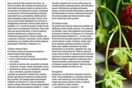 Článok Ako sa starať o jahody od skorej jari, aby mali vyššiu nutričnú hodnotu