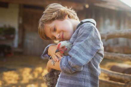 Chlapec objíma sliepku