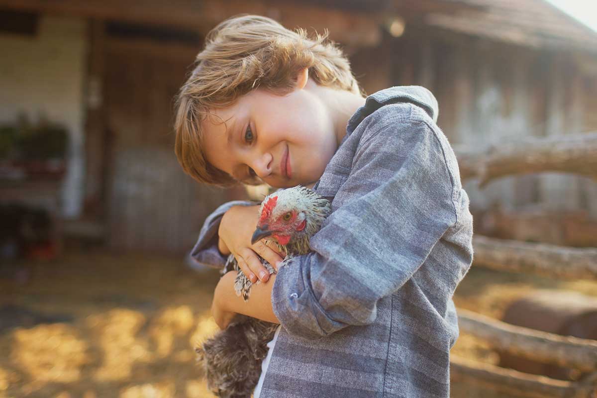 Chlapec objíma sliepku 