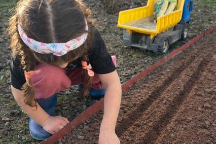 Dievčatko vysieva osivo od Zelseed do pripravených hriadok