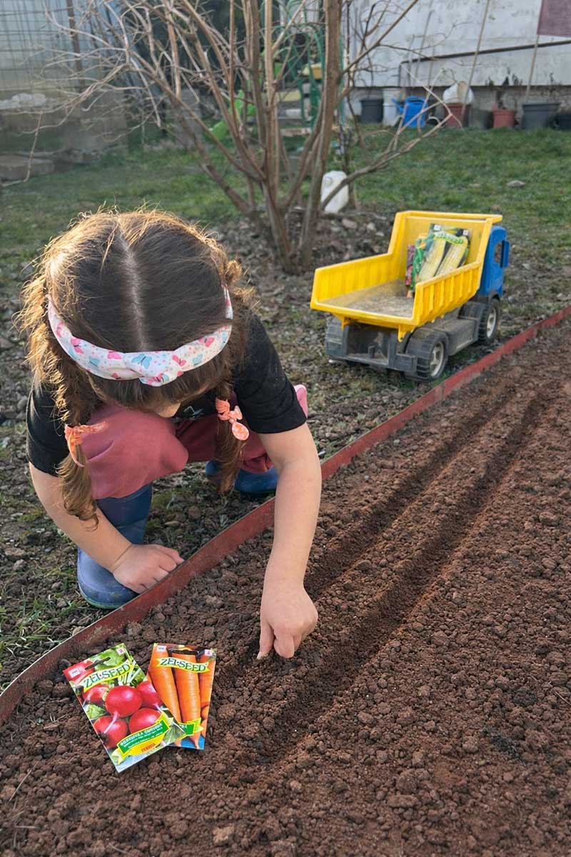 Dievčatko vysieva osivo od Zelseed do pripravených hriadok
