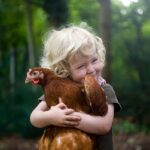 Dieťa objíma sliepku