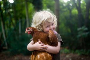 Sliepky v záhrade: 8 dôvodov, prečo si ich zaobstarať (a nie sú to vajíčka)