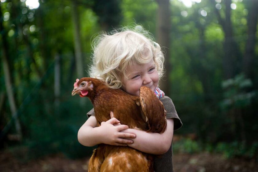 Dieťa objíma sliepku