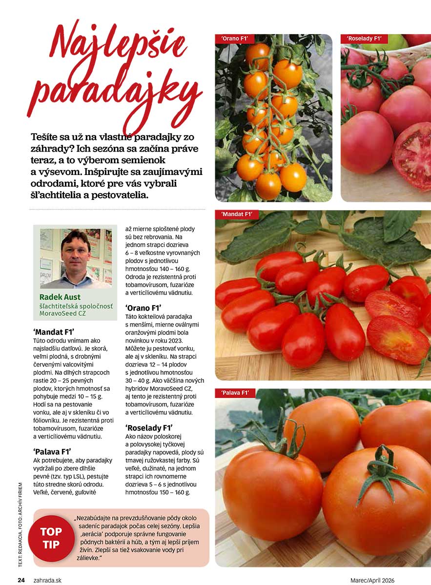 Článok Najlepšie paradajky