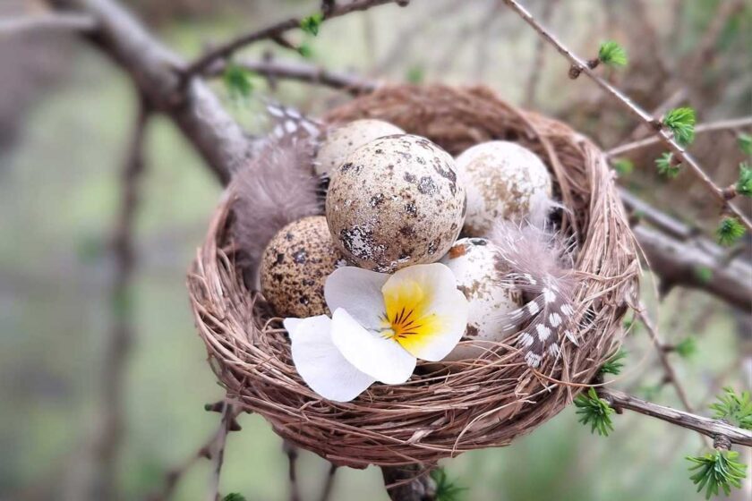 Prírodná veľkonočná dekorácia v tvare vtáčieho hniezda s vajíčkami