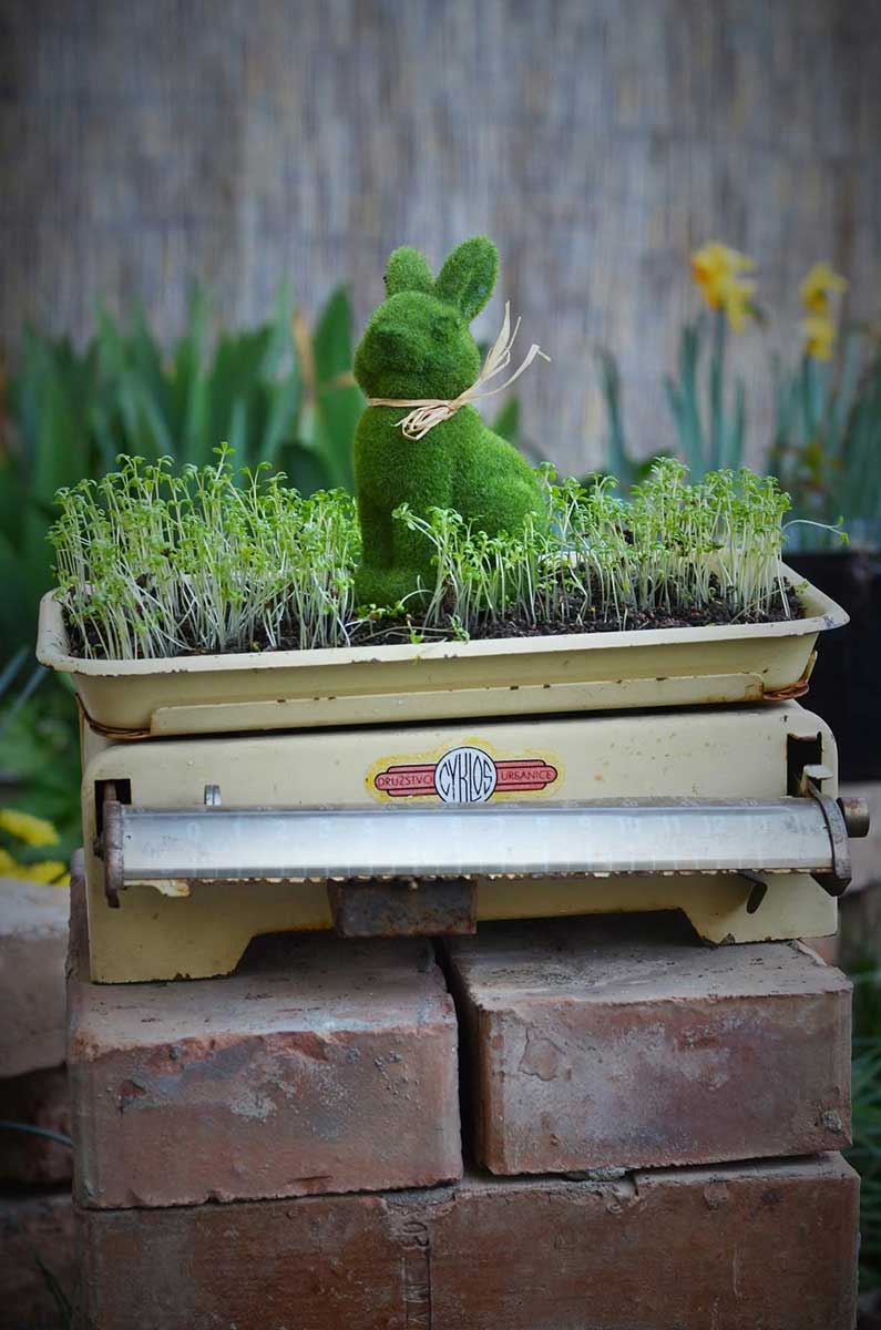 Aj stará váha môže poslúžiť ako netradičný základ pre jarný aranžmán. Foto: archív autorky