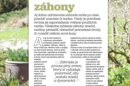 Článok Obnovme okrasné záhony