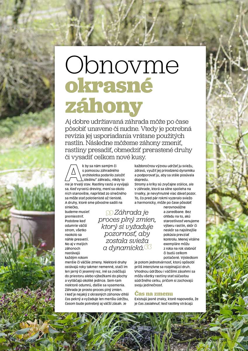 Článok Obnovme okrasné záhony