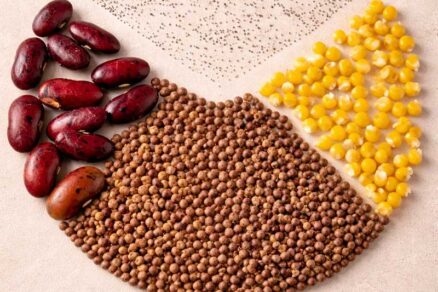 Ukážka osív rôznej veľkosti