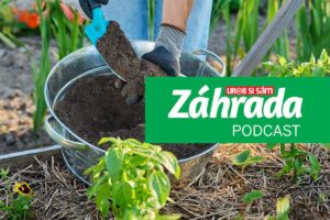 Ako správne hnojiť? To je téma najnovšieho podcastu Záhrada