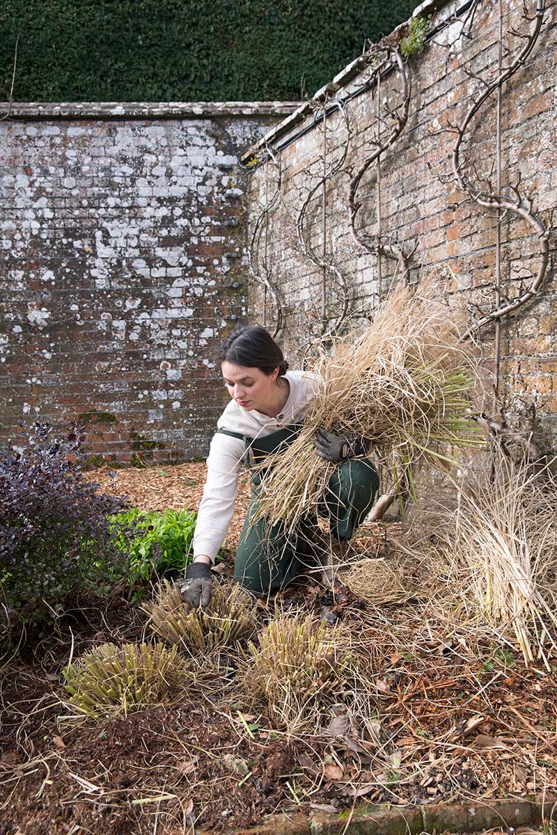Vytrhnutie zvyšných odumretých vlákien zo zrezanej trávy