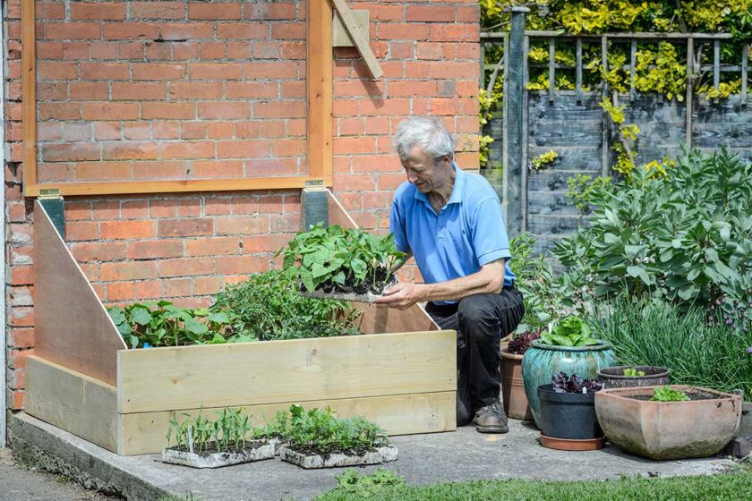 Nepravé parenisko na otužovanie priesad pripevnené k stene záhradného domčeka