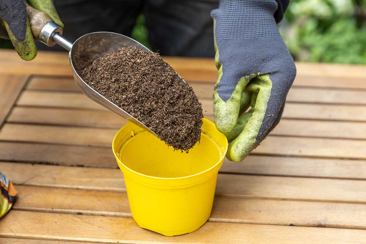 Naplnenie kvetináča výsevným substrátom