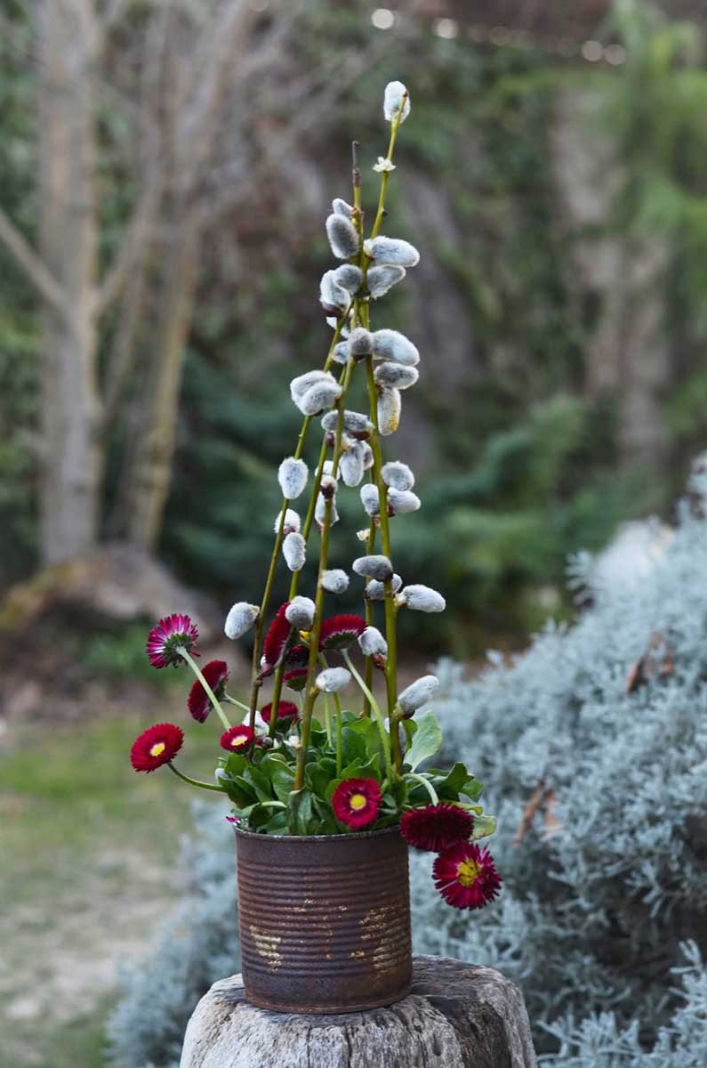 Ako dekorácia poslúžia aj zaváraninové poháre či plechovky, stačí do nich zasadiť kvety. Foto: archív autorky