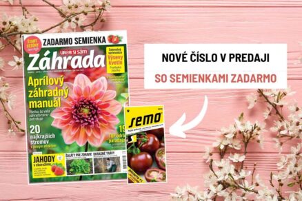 Časopis Záhrada 03-04/2026