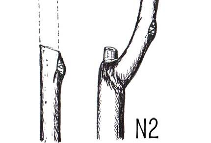 Rez na púčik nesprávny