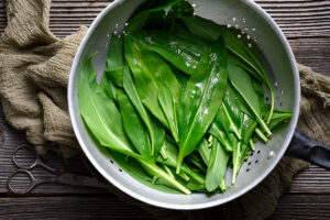 7 fascinujúcich faktov o medveďom cesnaku, ktoré odhalili botanici