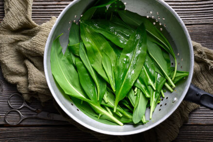 Medvedí cesnak v kovovom sitku