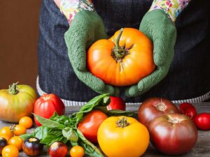 Šľachtitelia a pestovatelia rajčín sa podelili o tipy na najlepšie odrody. Trafili sa vám do chuti?