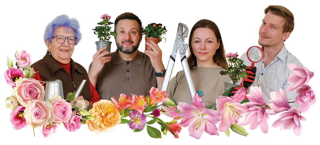 Porotcovia súťaže Bez burinky