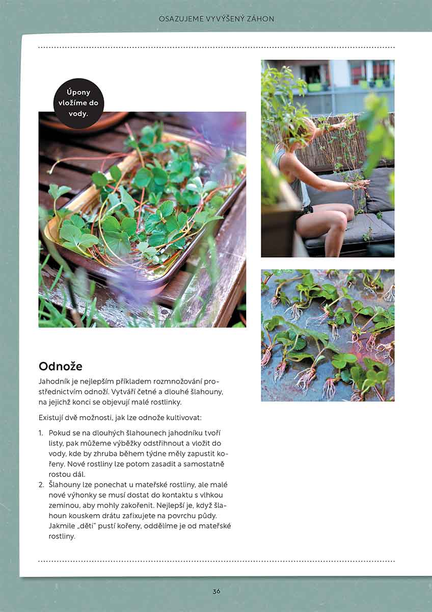 Foto: Nakladatelství KAZDA