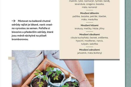 Obsah knihy Vyvýšené záhony na balkoně